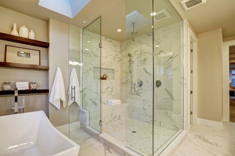 Modern Shower Area